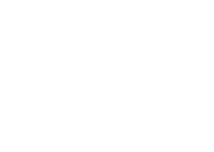 logo-lesenmachtschlau